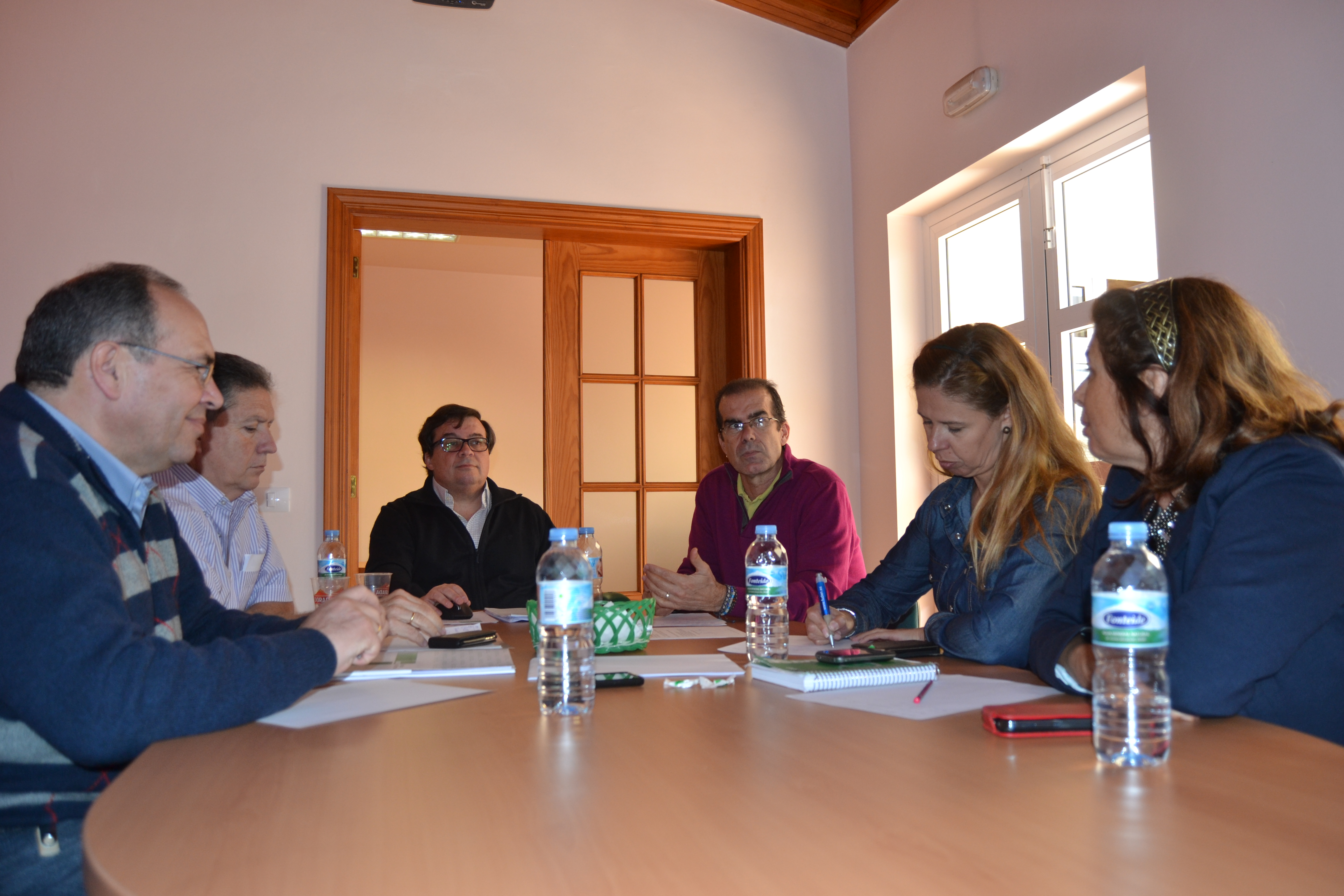Reunión Comité Ejecutivo Canarias marzo 2013