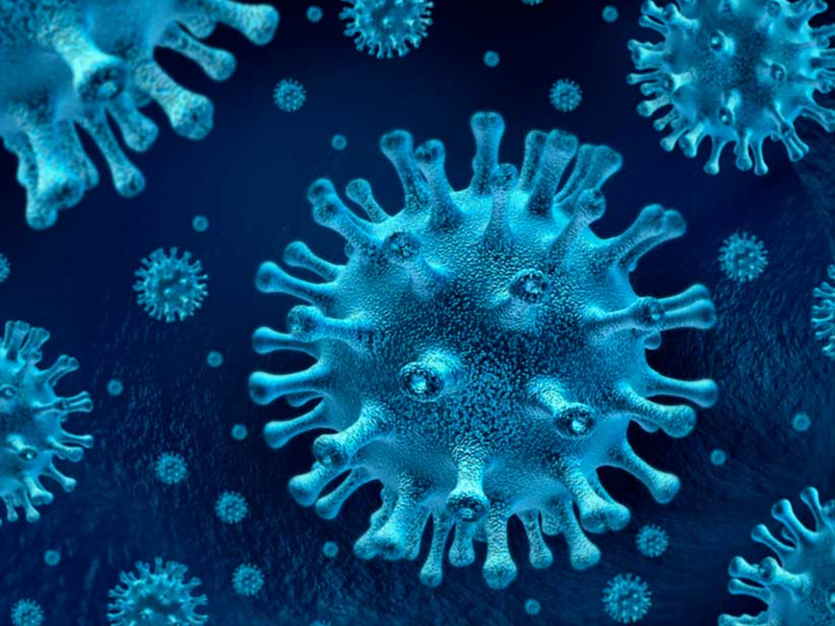 Coronavirus: información actualizada