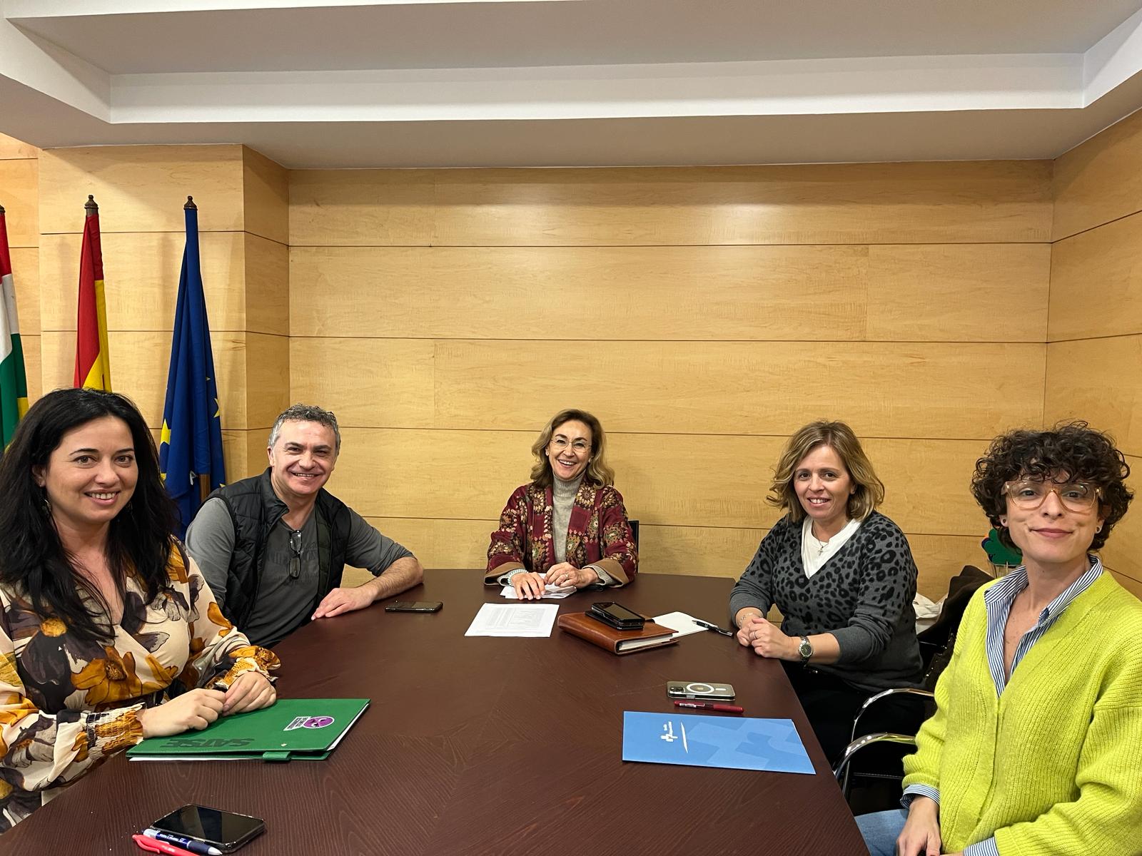 Imagen de la reunión entre SATSE y la consejería de Salud