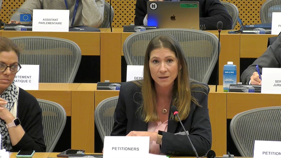 Laura Villaseñor en la Comisión de Peticiones del Parlamento Europeo